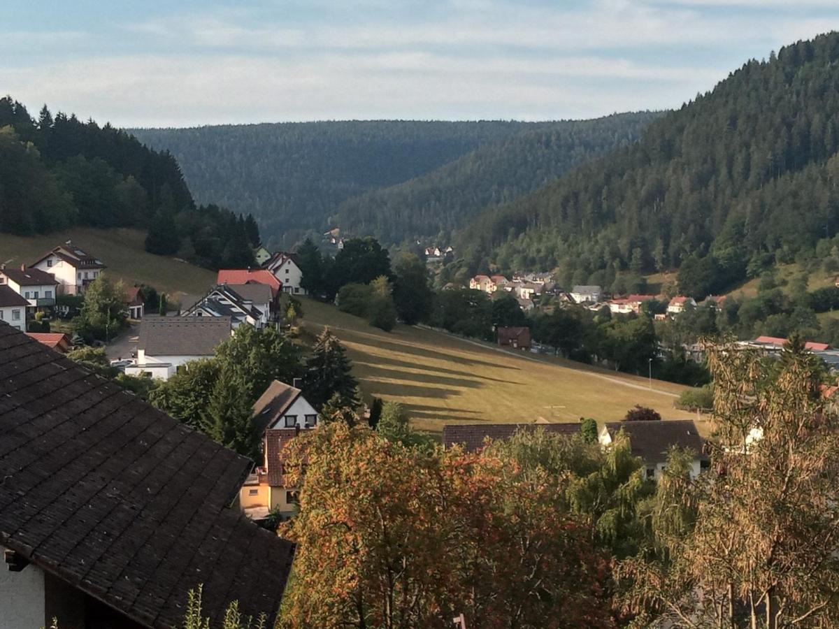 Waldblick Apartment Baiersbronn Exterior foto